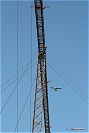Plane landing above Yeager's approach light bridge in Coonskin Park
