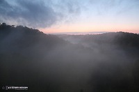 Twilight fog