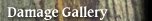 Damage Gallery