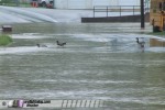 Ducks swim on flooded road