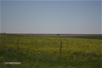 Kansas landscape on May 24