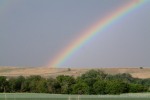 Nebraska rainbow