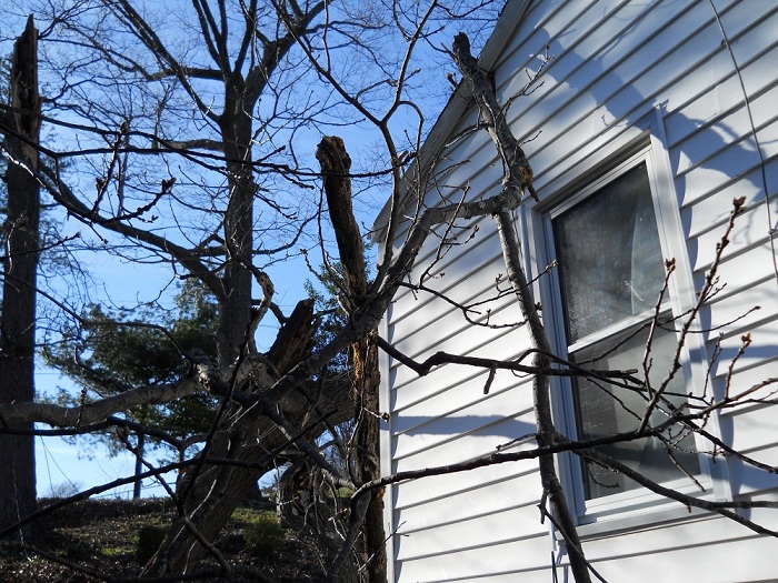 Charleston, WV storm damage