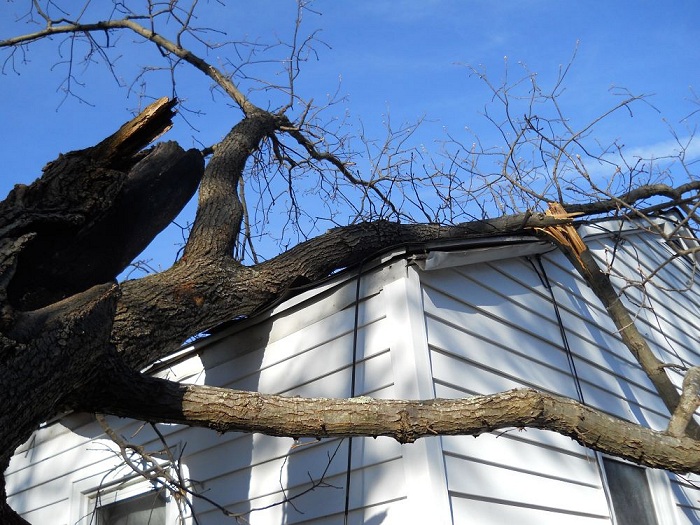 Charleston, WV storm damage