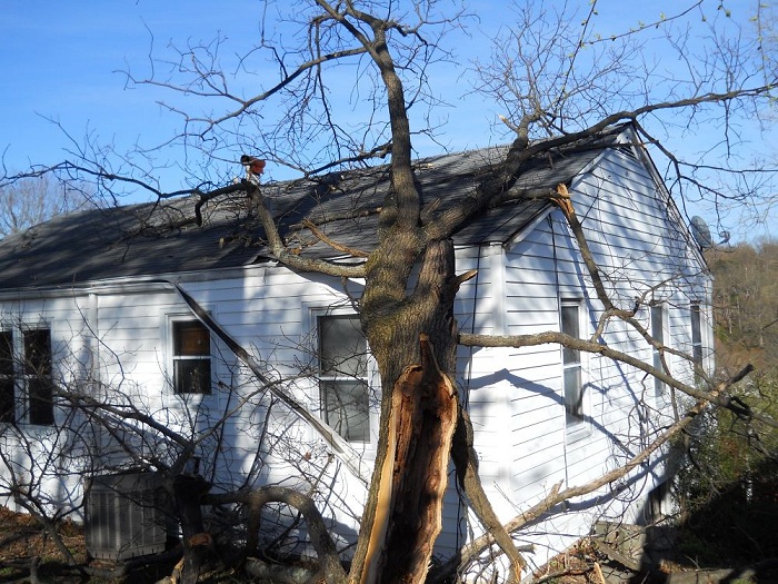 Charleston, WV storm damage