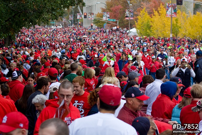 Endless Cardinals fans