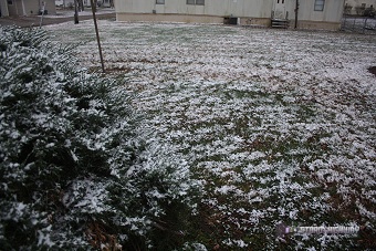 December 5 snow