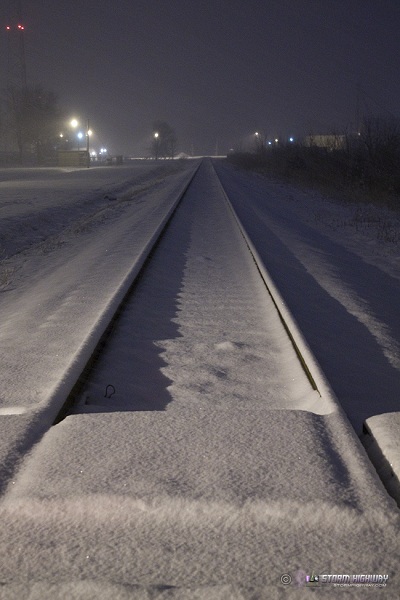 Snow in Trenton, IL