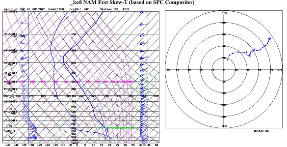 NAM sounding