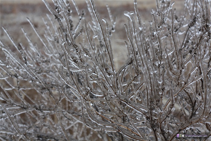 Freezing rain icing at Bowling Green, MO - December 21, 2013