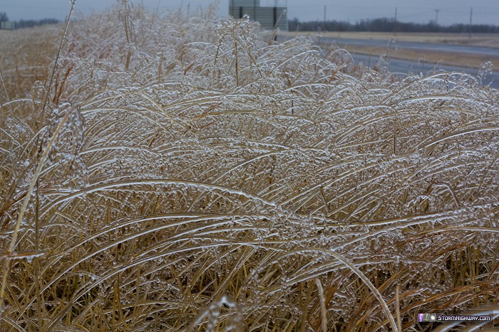 Freezing rain icing north of Troy, MO - December 21, 2013