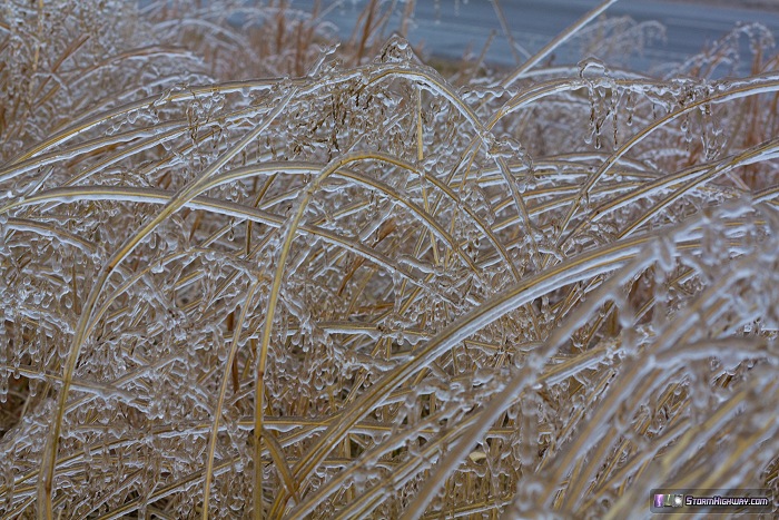 Freezing rain icing north of Troy, MO - December 21, 2013