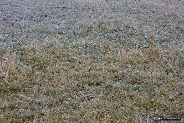 Freezing rain icing at Bowling Green, MO - December 21, 2013