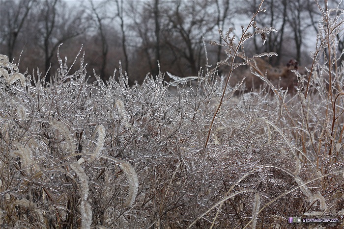 Freezing rain icing at Bowling Green, MO - December 21, 2013