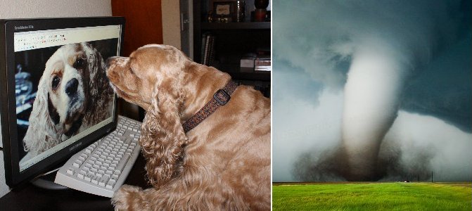 Viral photos and videos have value
