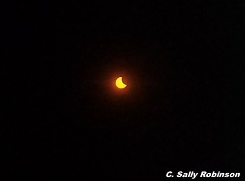 Partial solar eclipse