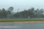 Wind rips through trees