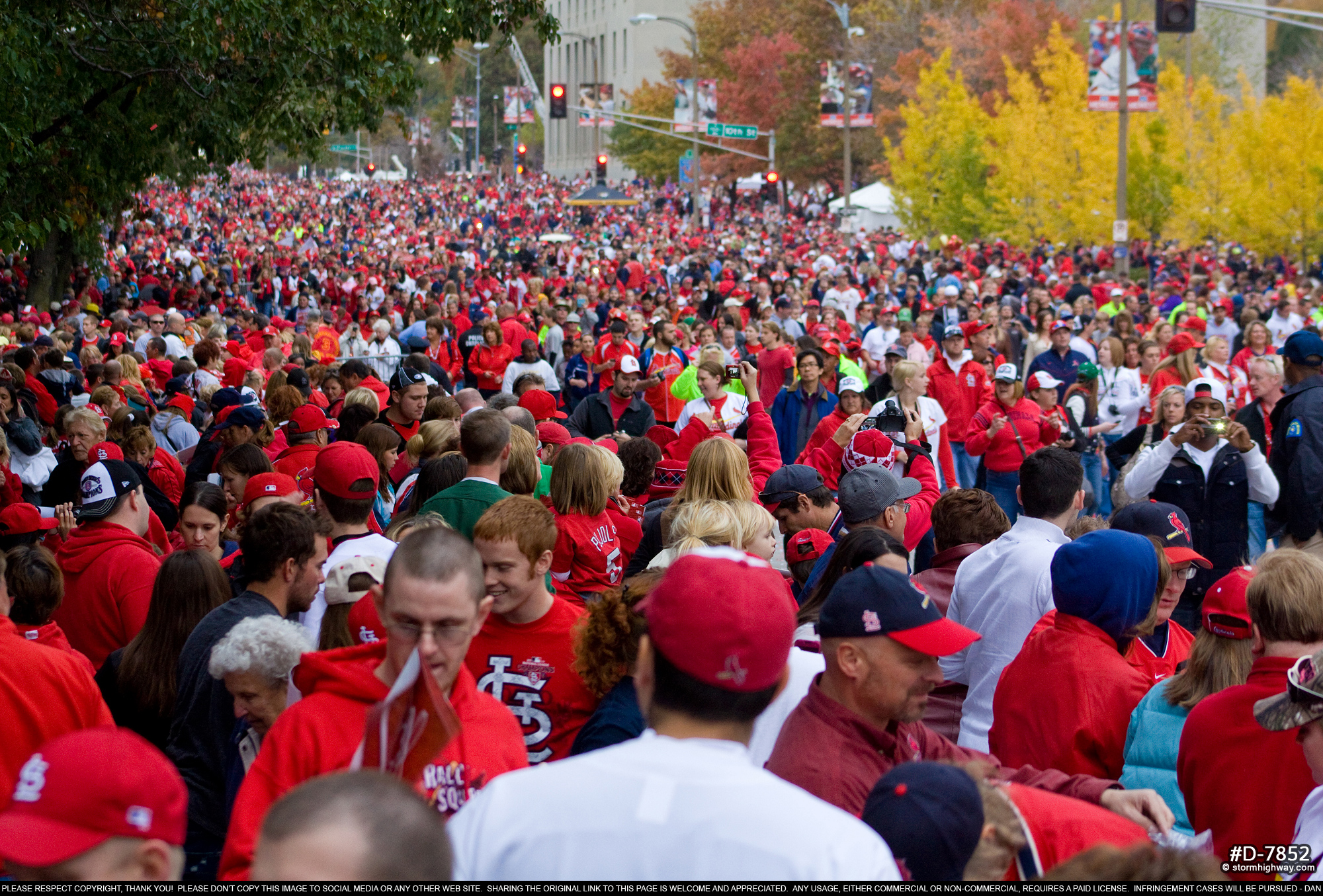 Cardinals fans as far as the eye can see