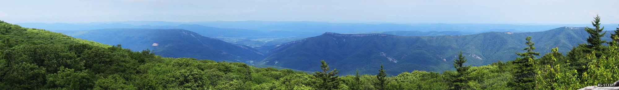 Dolly Sods, WV panorama