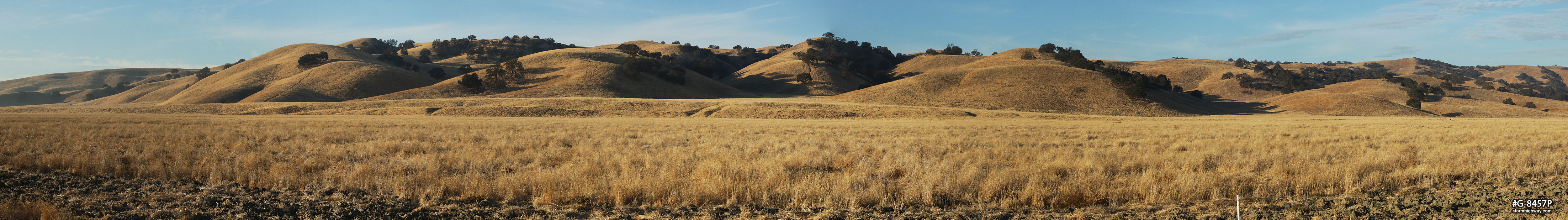 Hills and fields along the San Andreas Fault at Cholame, CA