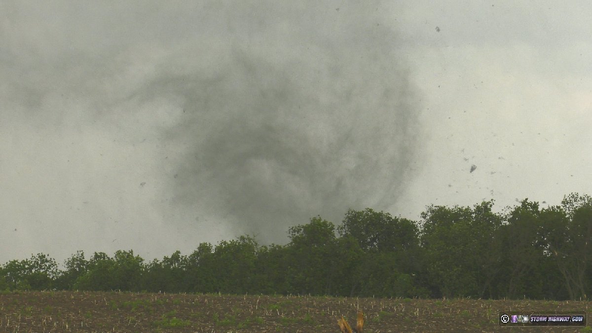 Trees in Greenfield EF4 tornado