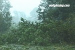 Fallen trees block roads in North Carolina