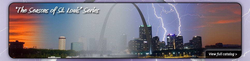 The Seasons of St. Louis photo series