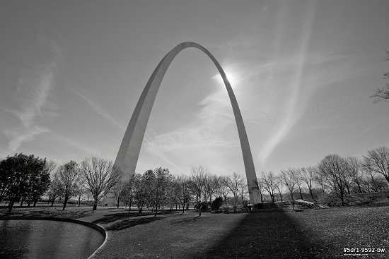 Backlit with fall colors at the Gateway Arch in St. Louis, black and white