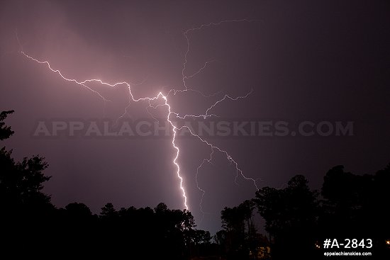 Raleigh, NC treeline with power flashover