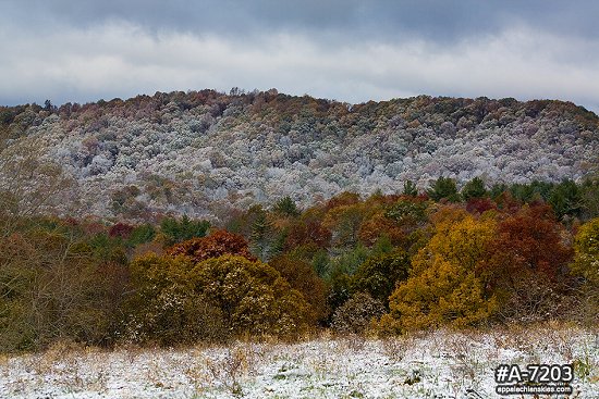 Raleigh County WV autumn snowfall