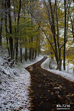 Autumn snowfall road