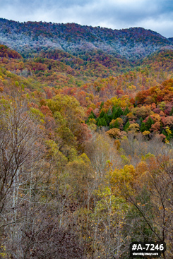 Fayette County snow line and fall colors