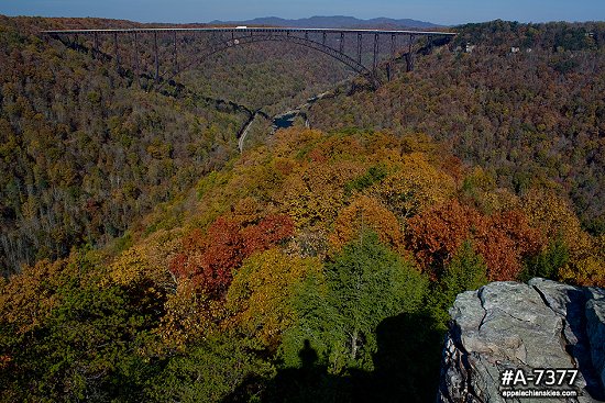 New River Gorge Bridge fall colors