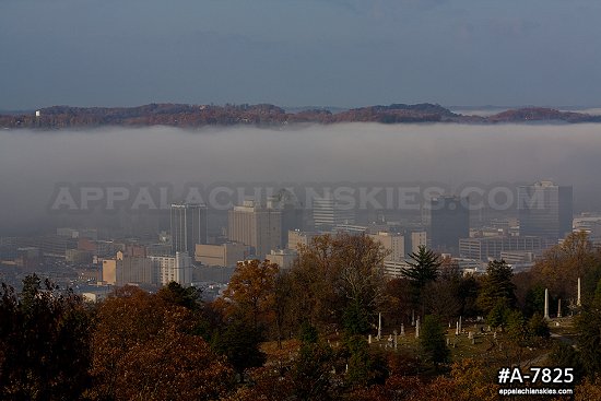 Morning valley fog