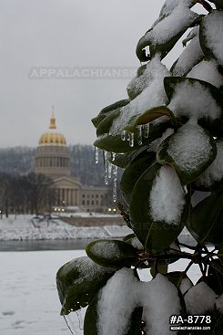 Icy leaves and WV Capitol