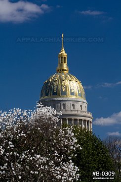 Spring flowering trees at the State Capitol