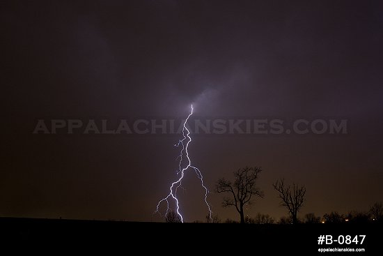 Lightning and trees in Lexington, KY