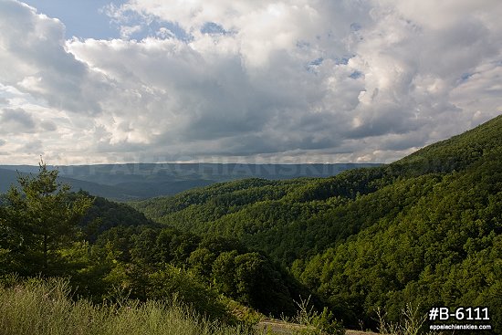 Blue Ridge Mountains in summer