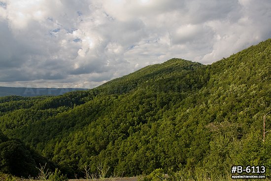 Blue Ridge Mountains in summer