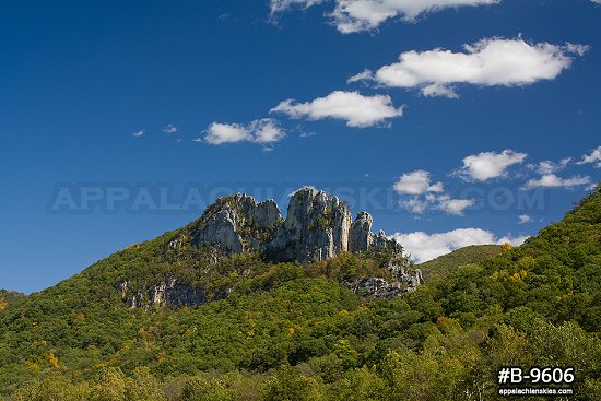 CATEGORY: Seneca Rocks