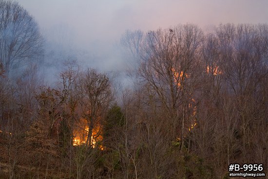 Forest fire flames and smoke