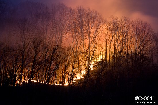 Wildfire flames and smoke among trees