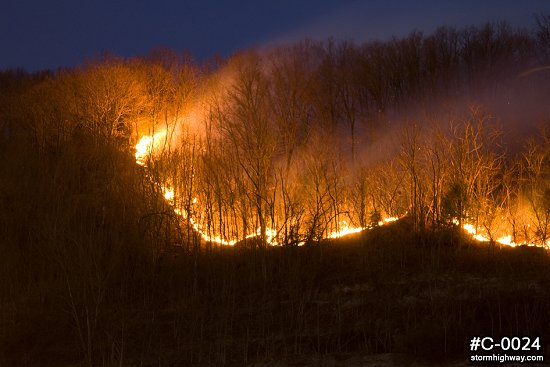 Glowing forest fire