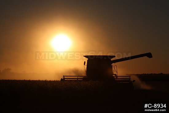Combine soybean harvester sunset 1