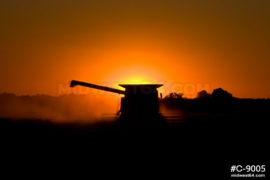 Combine soybean harvester sunset 8