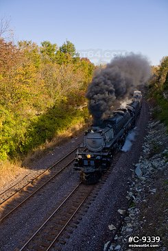 Steam locomotive #3985 fall colors