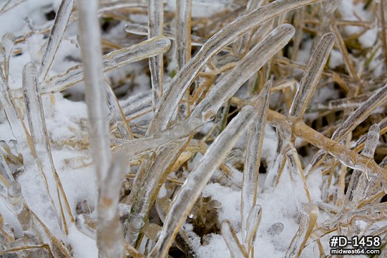 Prairie grass ice storm coating