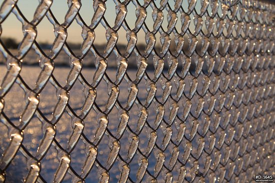 Heavy ice coating a chain link fence after an ice storm