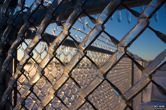 Thick icing on chain link fence