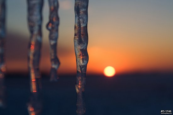 Close-up of icicles with the setting sun after an ice storm